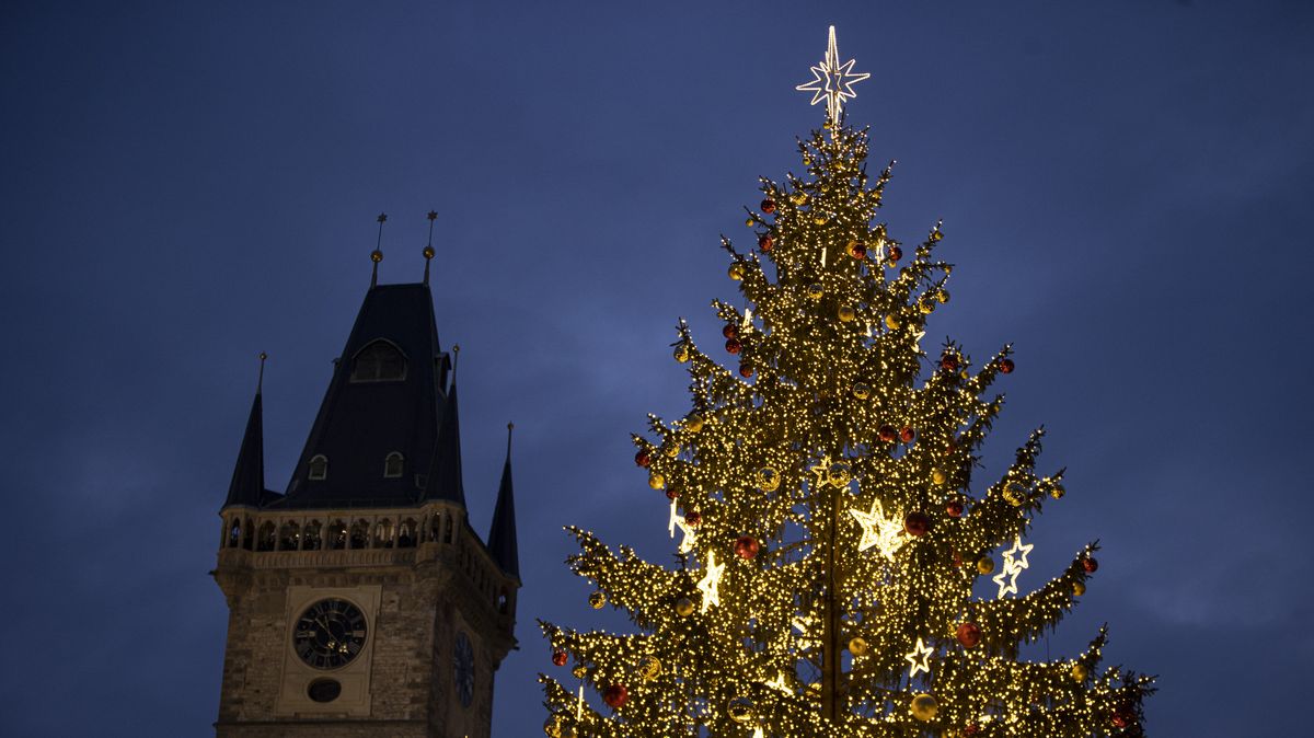 Z vánočního stromu na Staroměstském náměstí bude nábytek pro dětský domov